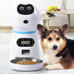 Automatic Cat Feeder 3L Pet Food Dispenser Feeder Medium and Large Cat Dog 4 Meal Voice Recorder and Timer Food Bowls
